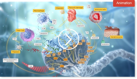 Biochemistry-of-Pain-3D-animation-poster | Pain Points of View